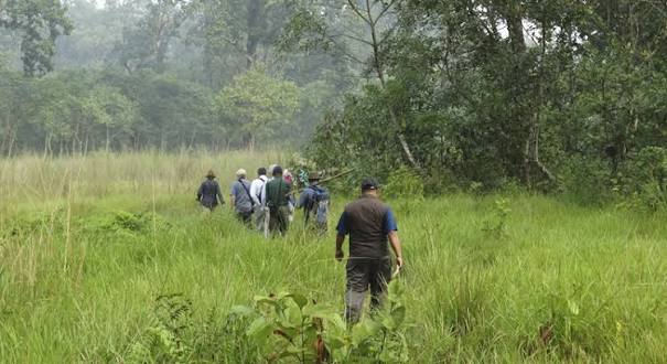 Jungle Walks in Chitwan National Park, Nepal