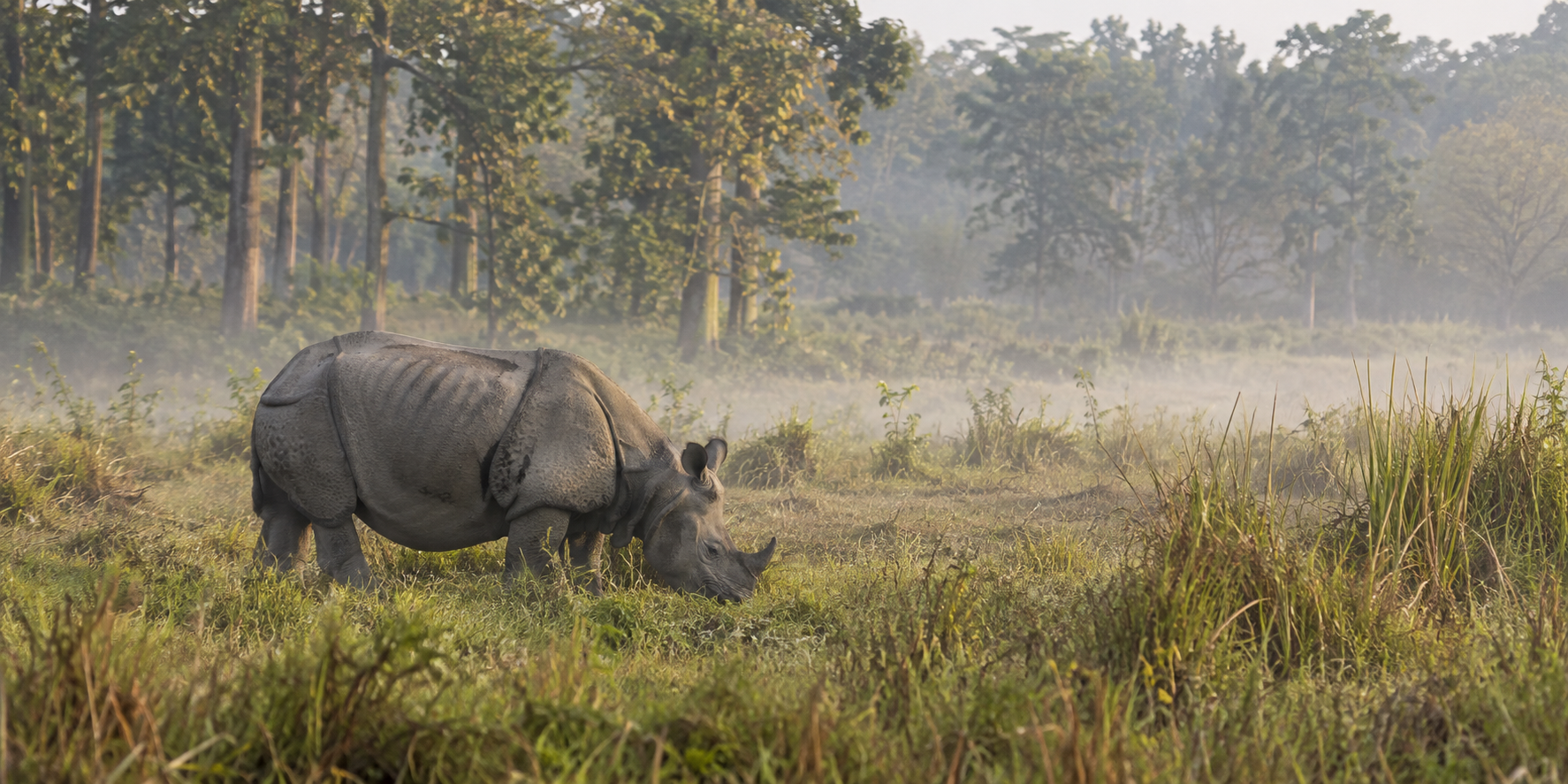 Where Does a Chitwan Park Entry Fee Go? Following Tourism Money into Conservation